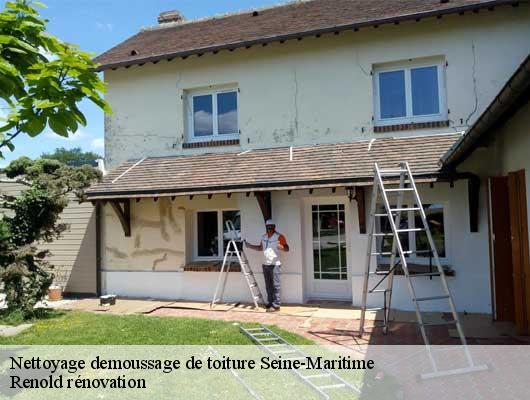 Nettoyage demoussage de toiture 76 Seine-Maritime  Renold rénovation