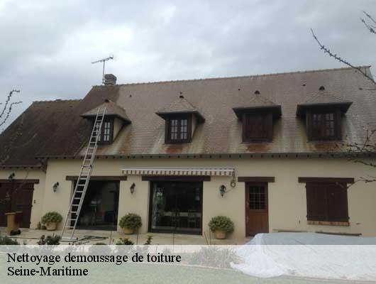 Nettoyage demoussage de toiture Seine-Maritime 