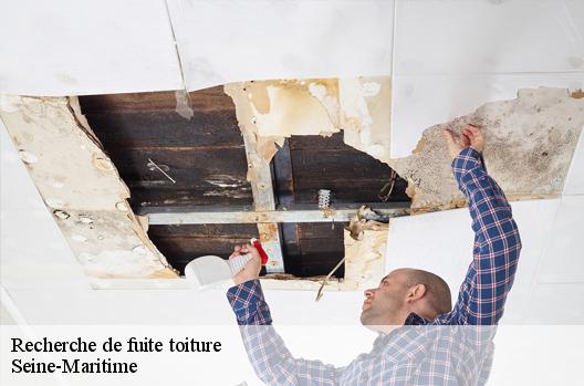 Recherche de fuite toiture Seine-Maritime 