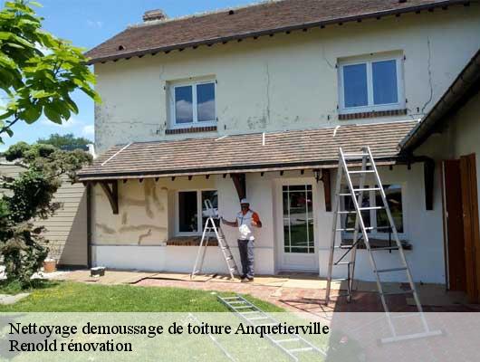 Nettoyage demoussage de toiture  anquetierville-76490 Renold rénovation
