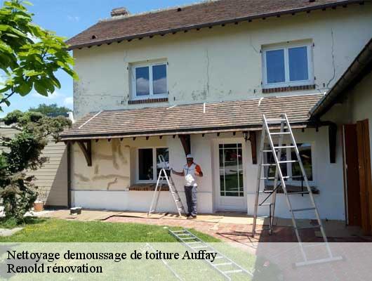 Nettoyage demoussage de toiture  auffay-76720 Renold rénovation