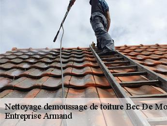 Nettoyage demoussage de toiture  bec-de-mortagne-76110 Entreprise Armand 