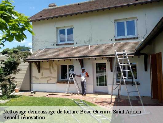 Nettoyage demoussage de toiture  bosc-guerard-saint-adrien-76710 Renold rénovation