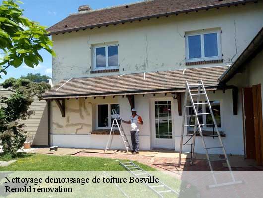 Nettoyage demoussage de toiture  bosville-76450 Renold rénovation