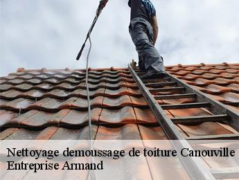 Nettoyage demoussage de toiture  canouville-76450 Entreprise Armand 