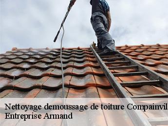 Nettoyage demoussage de toiture  compainville-76440 Entreprise Armand 