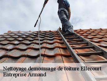 Nettoyage demoussage de toiture  ellecourt-76390 Entreprise Armand 
