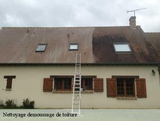 Nettoyage demoussage de toiture