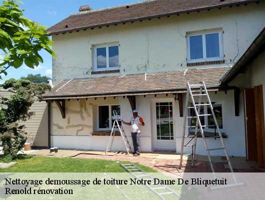 Nettoyage demoussage de toiture  notre-dame-de-bliquetuit-76940 Renold rénovation