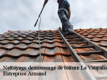 Nettoyage demoussage de toiture  la-vaupaliere-76150 Entreprise Armand 