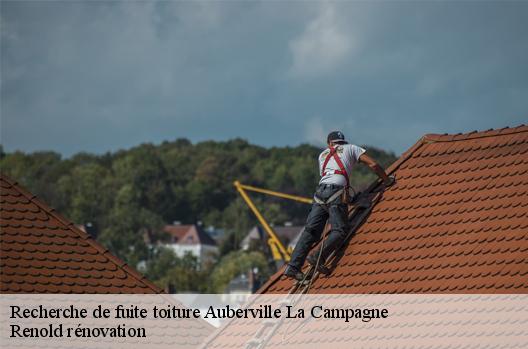 Recherche de fuite toiture  auberville-la-campagne-76170 Renold rénovation