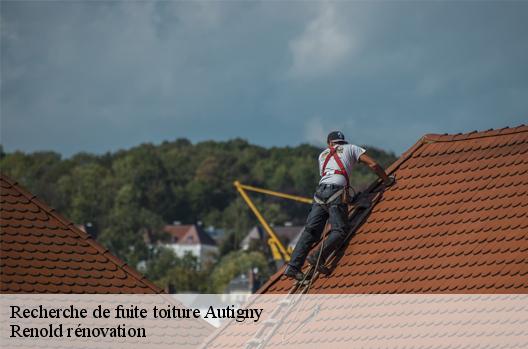 Recherche de fuite toiture  autigny-76740 Renold rénovation