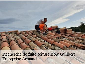 Recherche de fuite toiture bois-guilbert-76750 Entreprise Armand