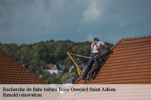 Recherche de fuite toiture  bosc-guerard-saint-adrien-76710 Renold rénovation