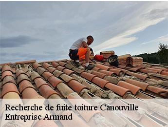 Recherche de fuite toiture  canouville-76450 Entreprise Armand 