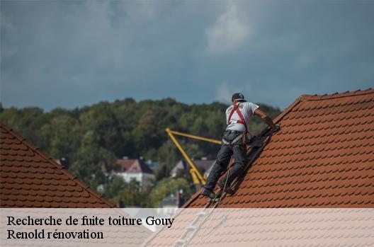 Recherche de fuite toiture  gouy-76520 Renold rénovation