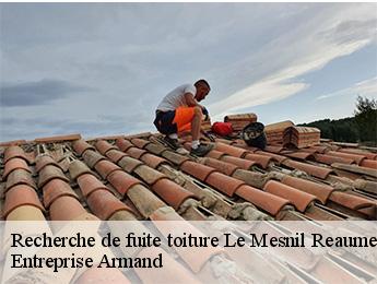 Recherche de fuite toiture  le-mesnil-reaume-76260 Entreprise Armand 