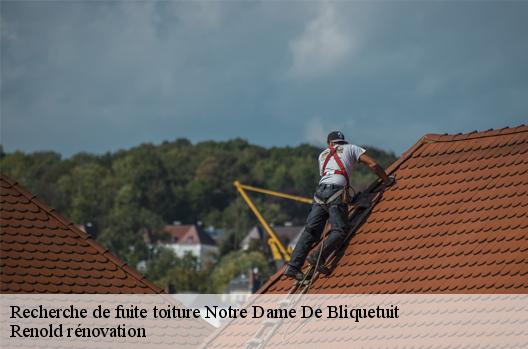 Recherche de fuite toiture  notre-dame-de-bliquetuit-76940 Renold rénovation