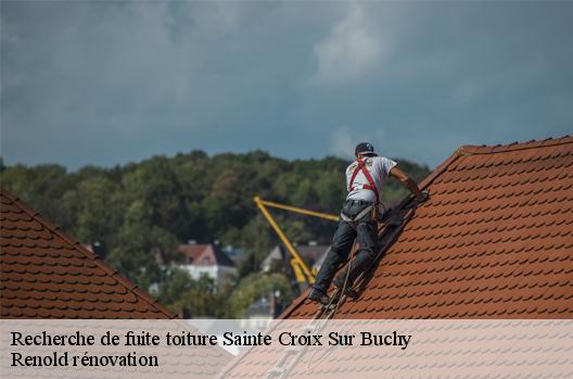 Recherche de fuite toiture  sainte-croix-sur-buchy-76750 Renold rénovation