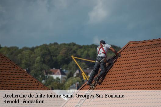 Recherche de fuite toiture  saint-georges-sur-fontaine-76690 Renold rénovation