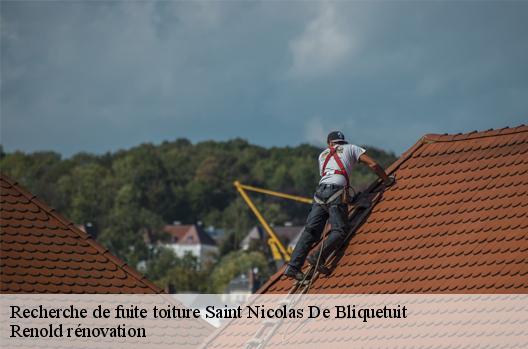 Recherche de fuite toiture  saint-nicolas-de-bliquetuit-76940 Renold rénovation