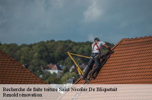 Recherche de fuite toiture saint-nicolas-de-bliquetuit-76940 Renold rénovation